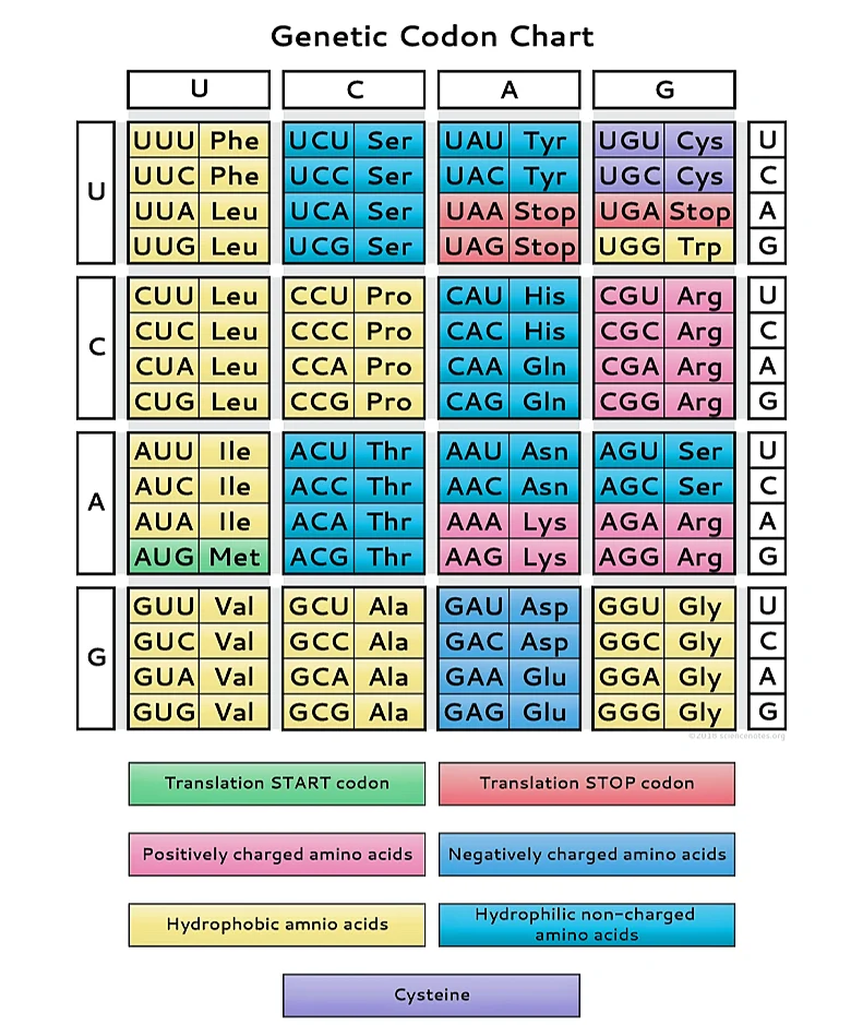 Genetic code and features of Genetic code 1 IMG 20230102 211142
