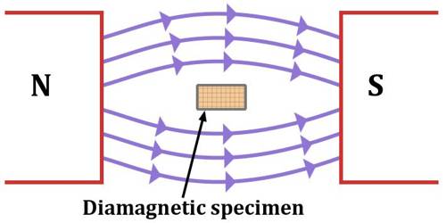 Diamagnetism of Diamagnetic Materials