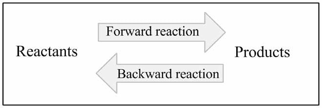 General scheme for reversible reaction