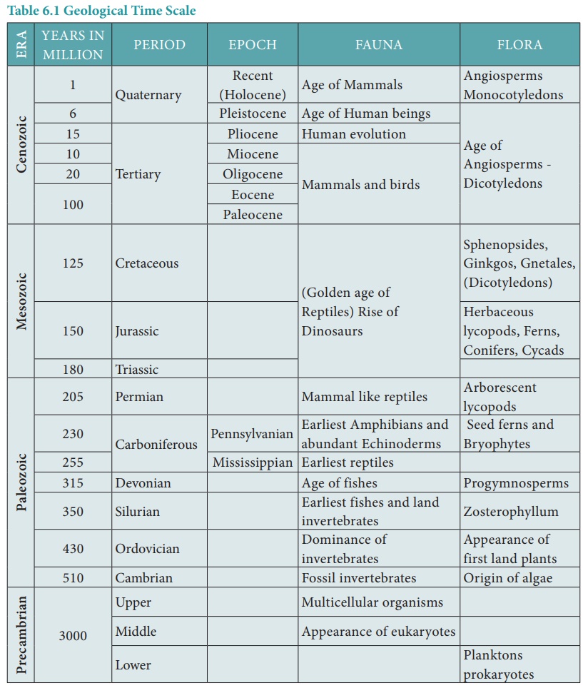 Evolution and Its Evidences 5 obNfYbo
