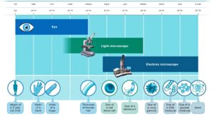 Resolving Power of Optical Instruments