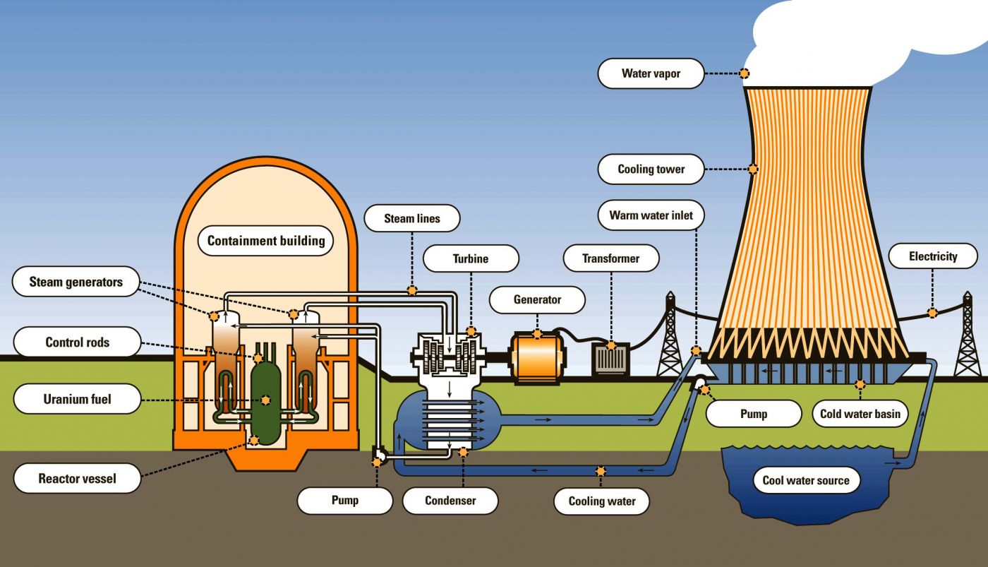 Nuclear Reactor Science Vision