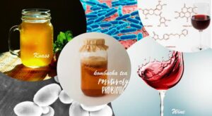 औद्योगिक उत्पादों में सूक्ष्मजीव (Microbes in Industrial products)