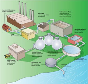 How Microbes Help Us Reclaim Our Wastewater ASM org