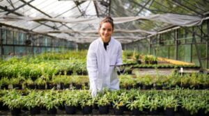 कृषि में जैव प्रौद्योगिकी की भूमिका का वर्णन करें।