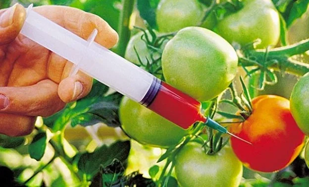 organic agriculture