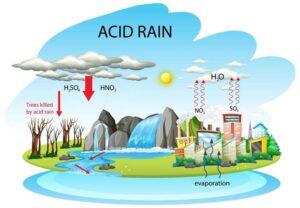 DownloadDiagramshowingacidrainpathwayonwhitebackgroundforfree