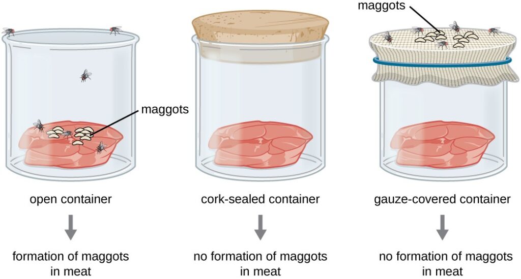 OSC Microbio 03 01 Rediexpt