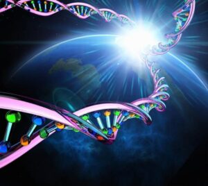 जीवन की उत्पत्ति के सिद्धांत