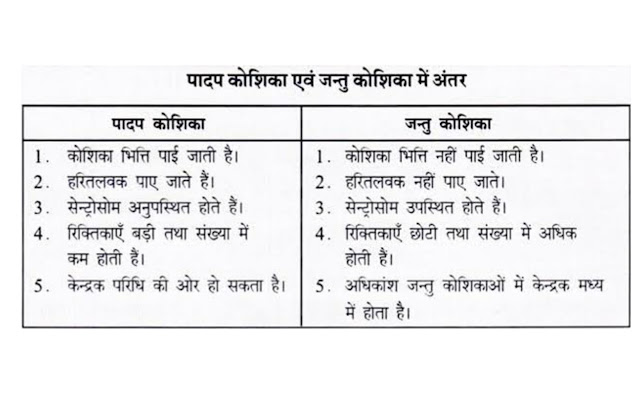 कोशिका (Cell) की संरचना एवं कार्य 15 1000299075