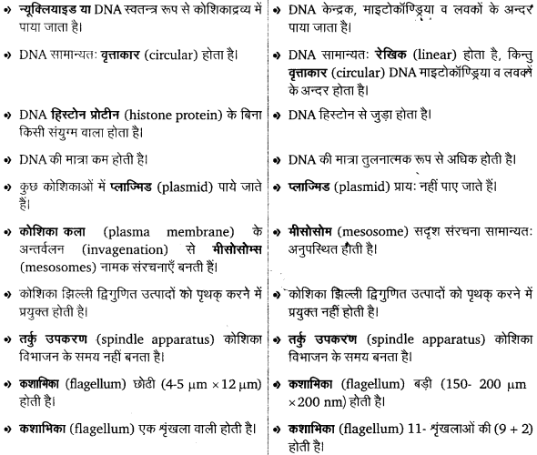 कोशिका (Cell) की संरचना एवं कार्य 14 1000299076